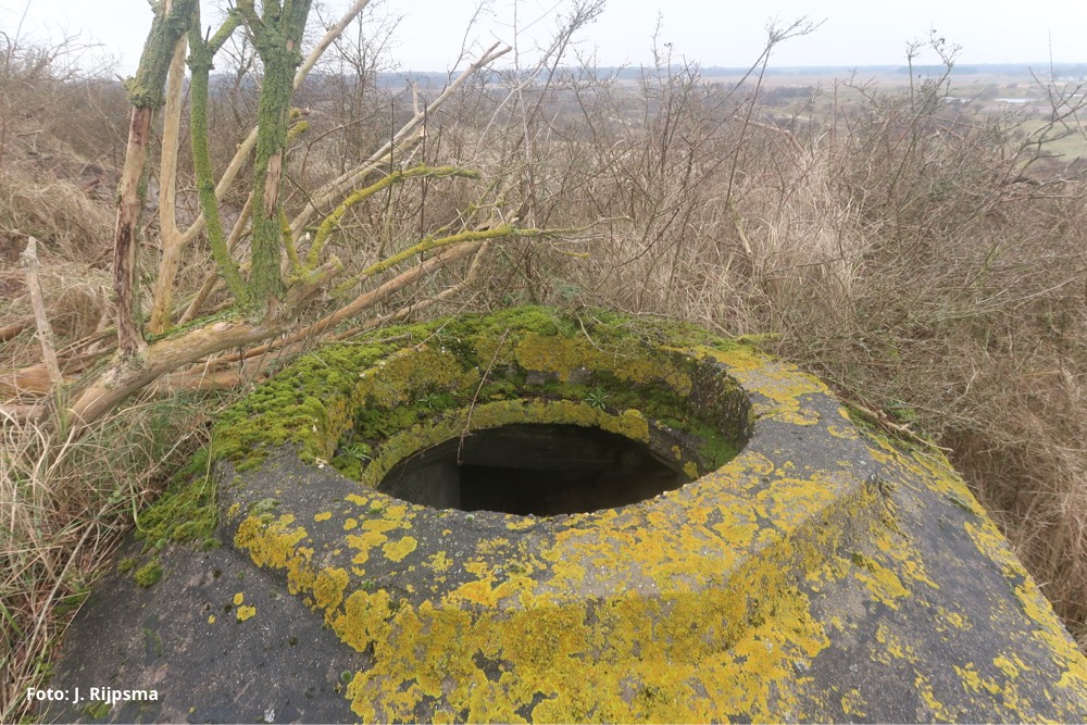 (Korst)mossen gedijen goed op het kale beton - Fotograaf J. Rijpsma