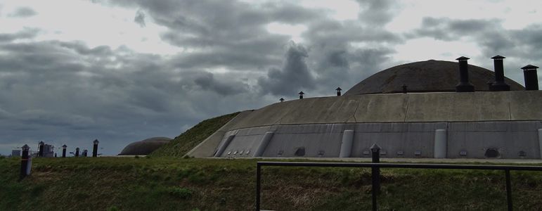 Fort 1881
